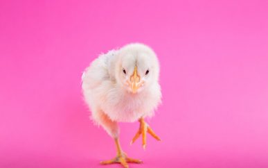 Funding Is The Key To Your Growth Plans