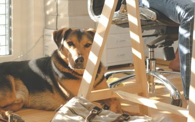 Claiming Deductions For Working From Home To Be Made Easier